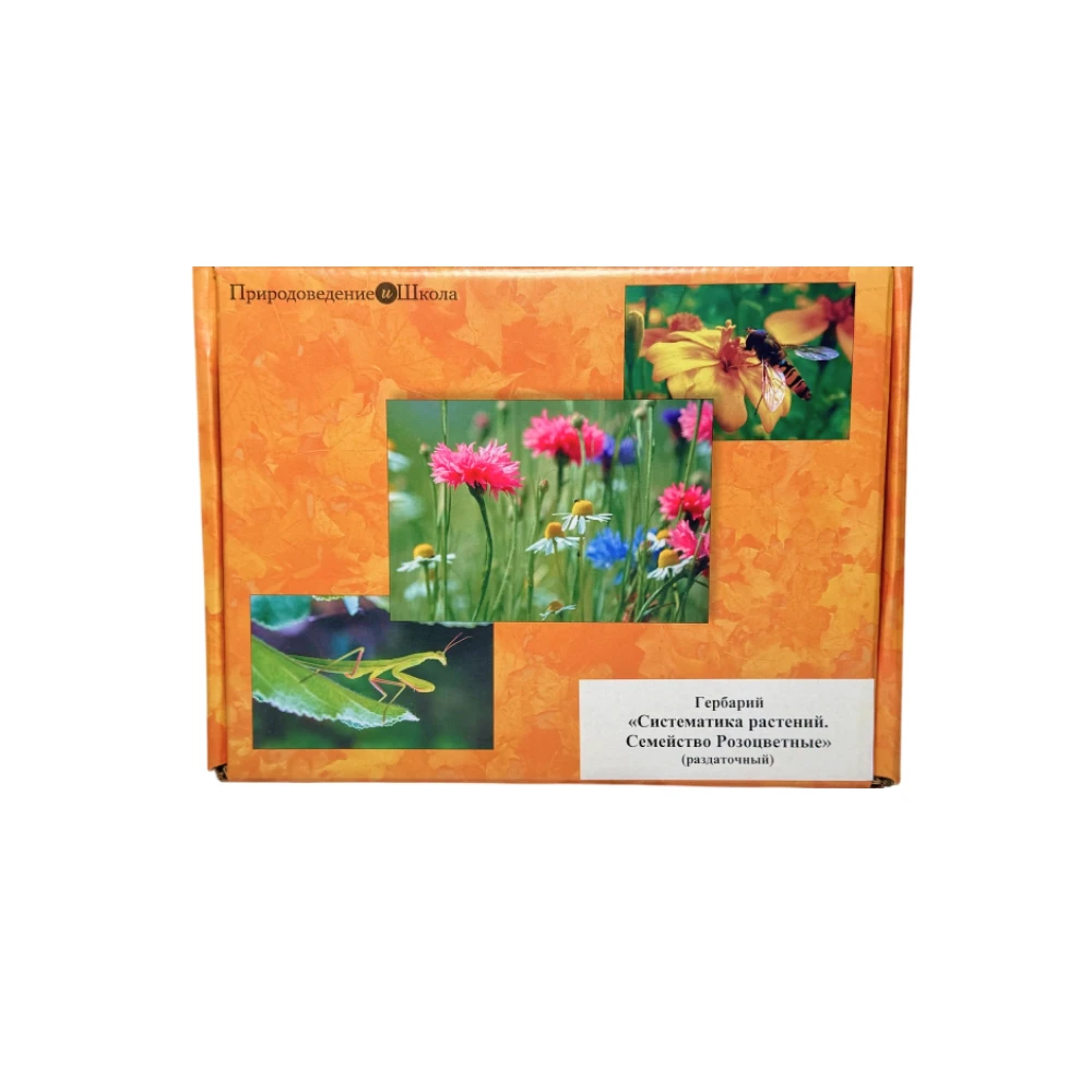 Гербарий «Систематика растений. Семейство Розоцветные»